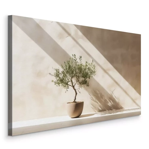 Canvas Een elegante olijfboom in een pot