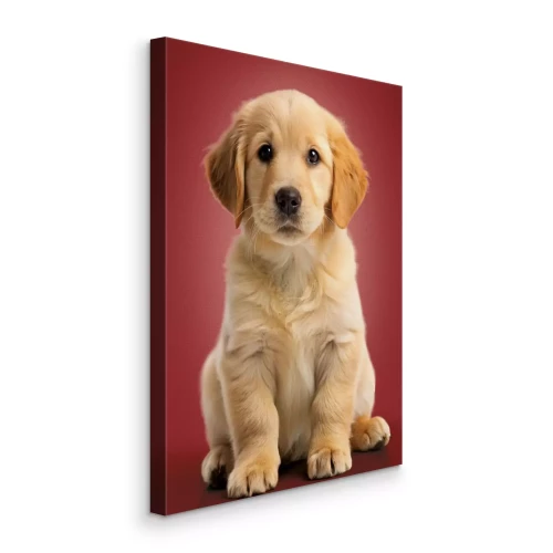 Canvas Schattige golden retriever pup