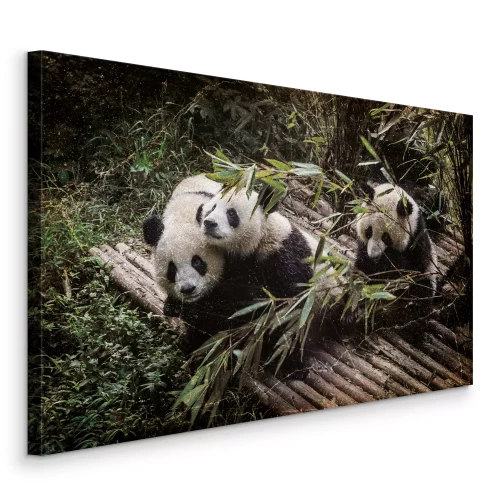 Canvas Jonge panda&#39;s hebben plezier samen