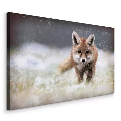 Canvas Een vos in de ochtendweide