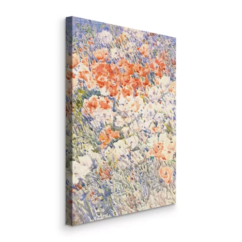 Canvas Zonnestralen op een bloemenweide tussen het gras