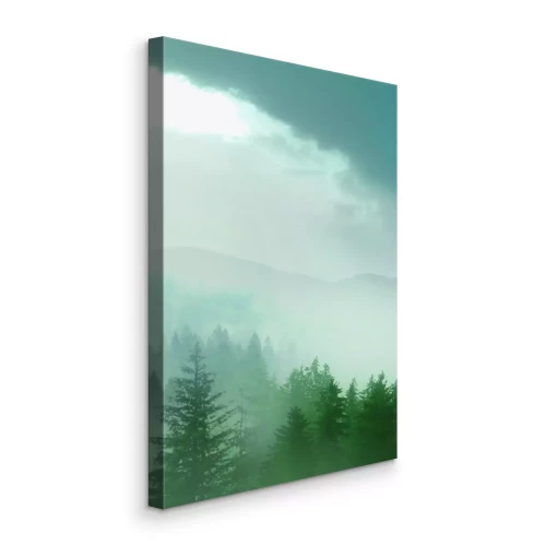 Canvas Een mysterieus sparrenbos gehuld in dikke mist