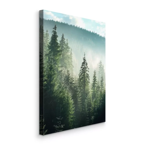 Canvas Groen bergbos met coniferen en mist