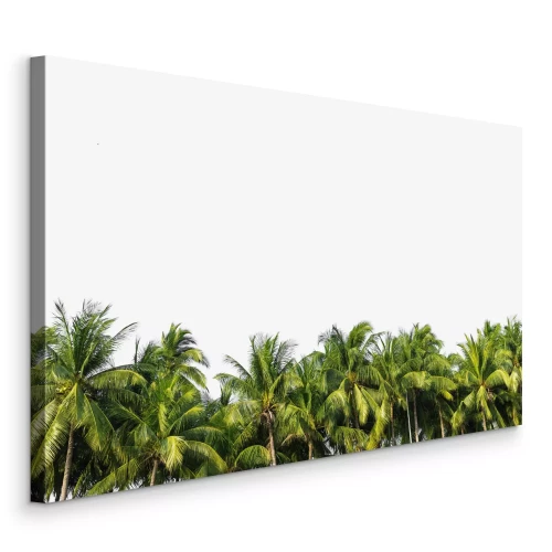 Canvas Kokospalmen op een witte achtergrond