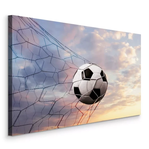 Canvas De bal in het net tegen de lucht