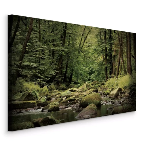 Canvas Een beek die door een groen bos stroomt