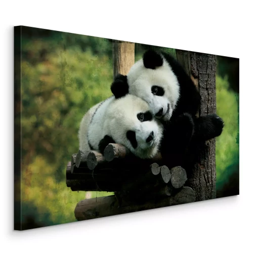 Canvas Panda&#39;s tegen de achtergrond van groene vegetatie
