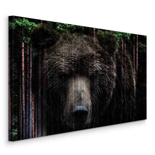 Canvas Een bruine beer omringd door een naaldbos