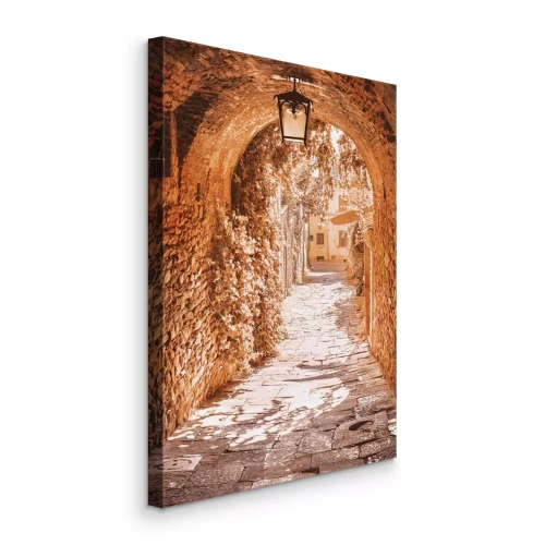 Canvas Een stenen steegje met weelderige klimplanten