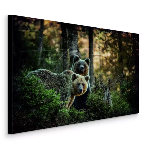 Canvas Beren in het magische bos bij schemering