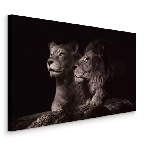 Canvas Volwassen leeuwen rusten op een stenen rots