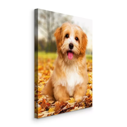 Canvas Herfsttafereel met een bruine hond