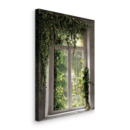 Canvas Groene wijnranken rond een oud raam