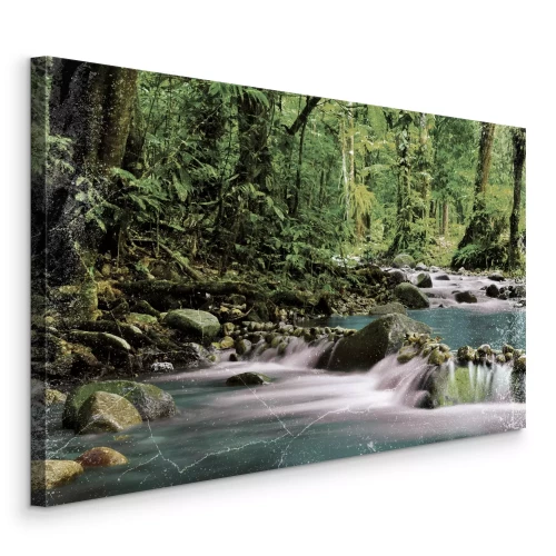 Canvas De schone energie van boswater