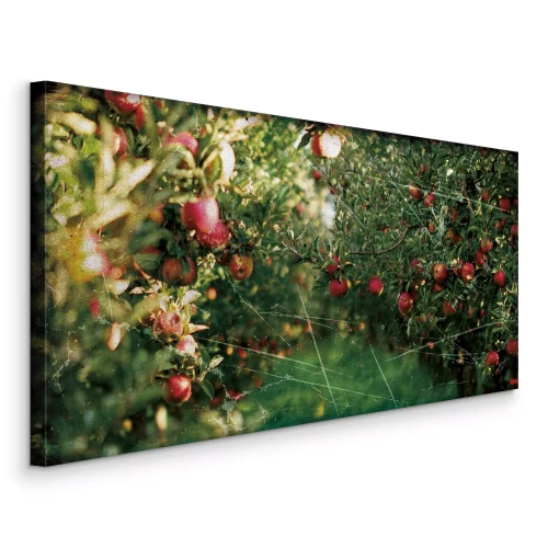 Canvas Appels rijpen in dichte kronen