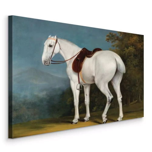 Canvas De klassieke schoonheid van een paard in een groene open plek