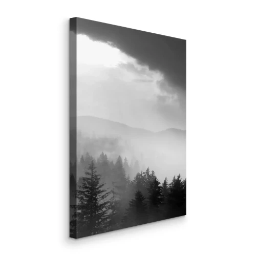 Canvas Een donker naaldbos gehuld in dikke mist