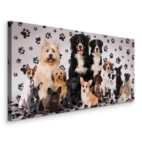 Canvas Rashonden met een elegante houding