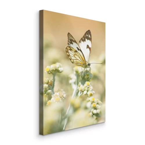 Canvas Vlinder in lentebloemenweiden