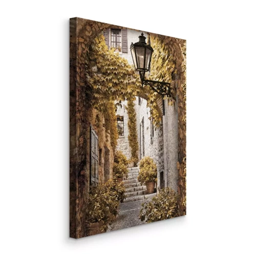 Canvas Charmante trap tussen de stenen straat met planten