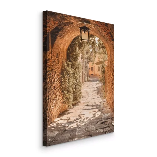 Canvas Een pittoresk stenen straatje met wijnranken
