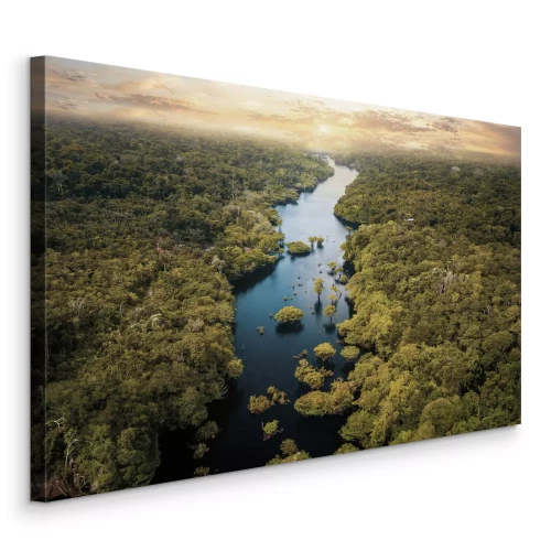 Canvas Een brede rivierstroom in een tropisch bos