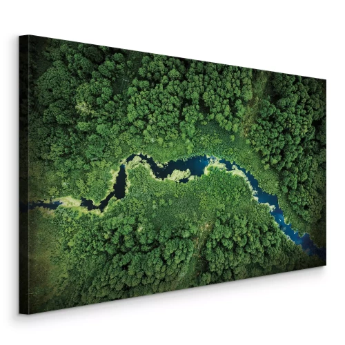 Canvas Een bosvallei met een kronkelende rivier