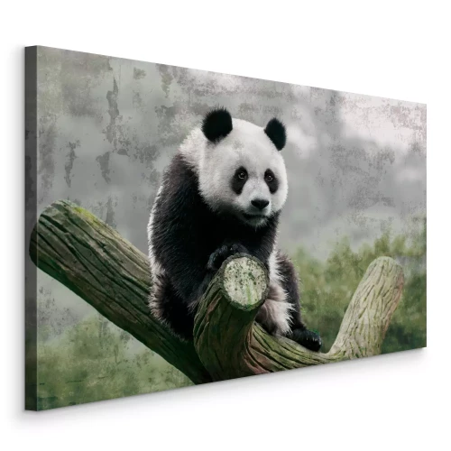 Canvas Een eenzame panda in de mist