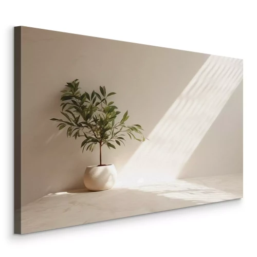 Canvas Een groene olijfboom in een beige pot