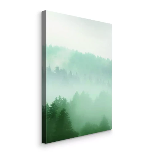 Canvas Een mistig, dicht bos vol naaldbomen