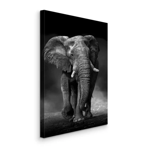 Canvas Een zwart-witfoto van een machtige olifant