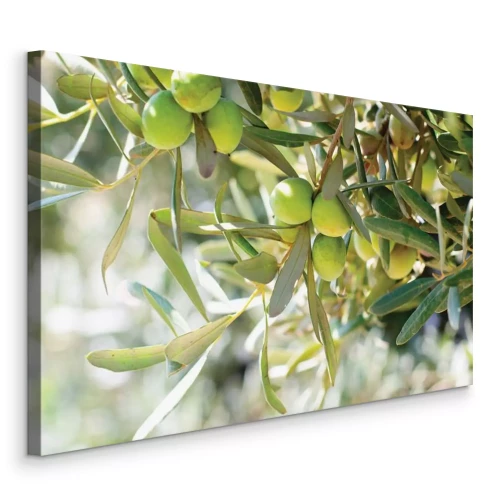 Canvas Verse olijfboomtakken met kleine blaadjes