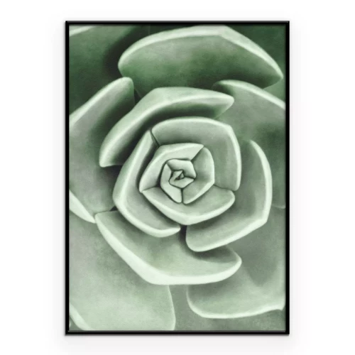 Poster Groene bloem in een macro-spiraalopname