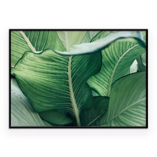 Poster Een plantenachtergrond met golvende bladeren