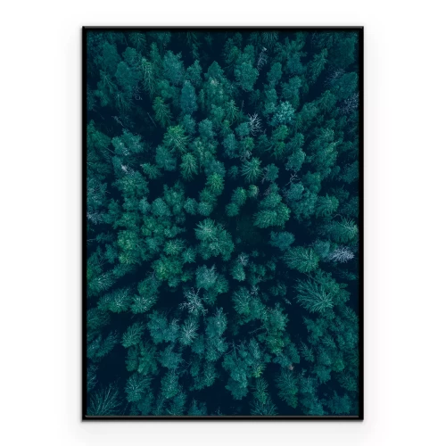 Poster Groene boomkronen van bovenaf gezien