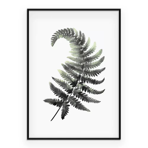 Poster Botanische tekening van een varenblad
