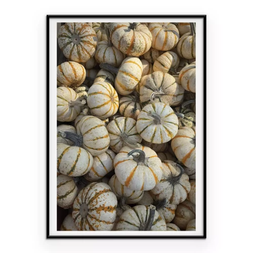 Poster Kleurrijke pompoenen ondergedompeld in de gouden stralen van de herfst