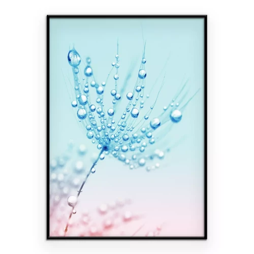 Poster Een ochtenddruppel op een tere paardenbloem