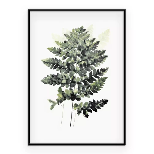 Poster Botanische illustratie met een groene varen