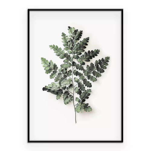 Poster Een delicate varen op een witte achtergrond