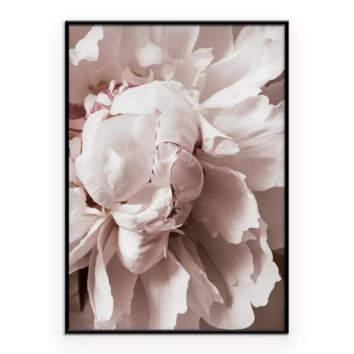 Poster Romantisch bloemblaadjesdetail