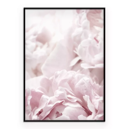 Poster Bloemen in pasteltinten roze