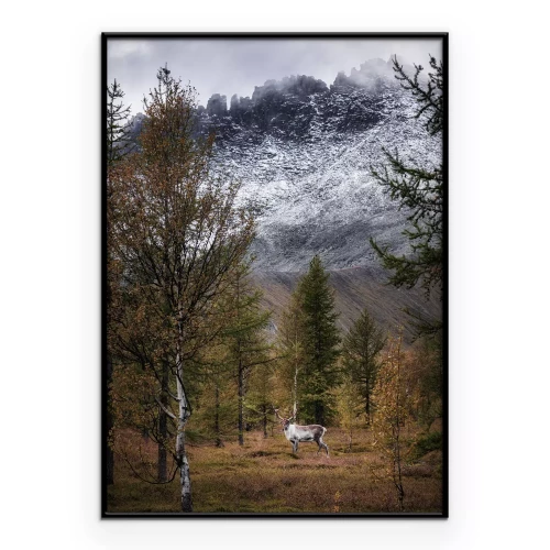 Poster Een bospad tussen bergen en sneeuw