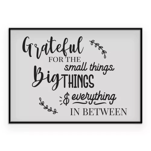 Poster Typografie over het waarderen van alles