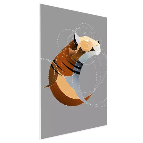 Visualisatie van het product