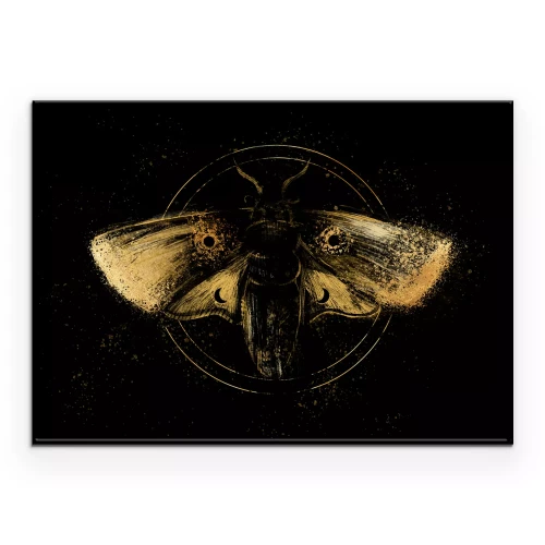 Poster Een gouden mot in een donkere compositie
