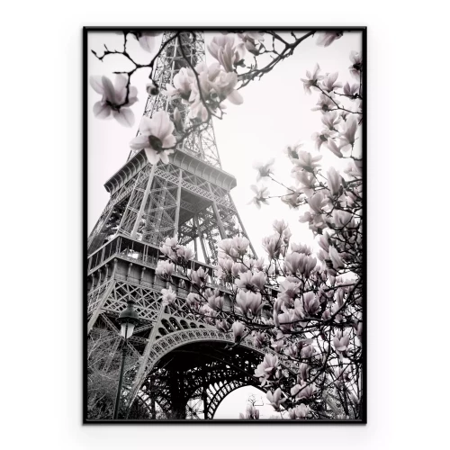 Poster De Eiffeltoren in de lente, gehuld in magnoliabloesem.