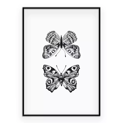 Poster Een paar vlinders in een zwart-witillustratie