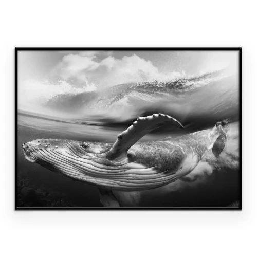 Poster Onderwaterfoto van een walvis in zwart-wit