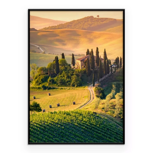 Poster Toscaans landschap met karakteristieke cipressen